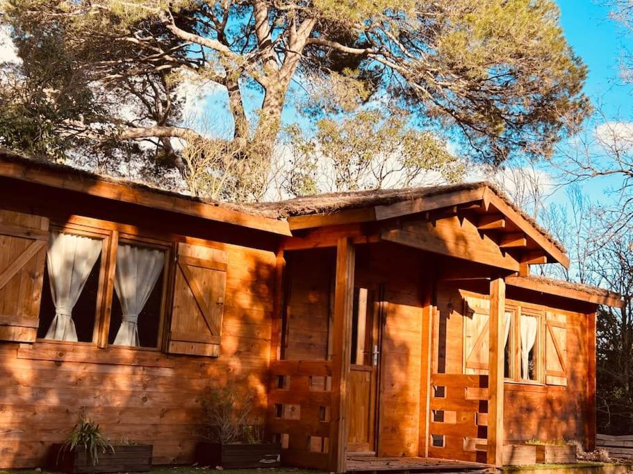 Chalet Bois Jacuzzi Bessan Exteriör bild