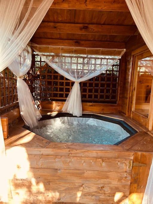 Chalet Bois Jacuzzi Bessan Exteriör bild