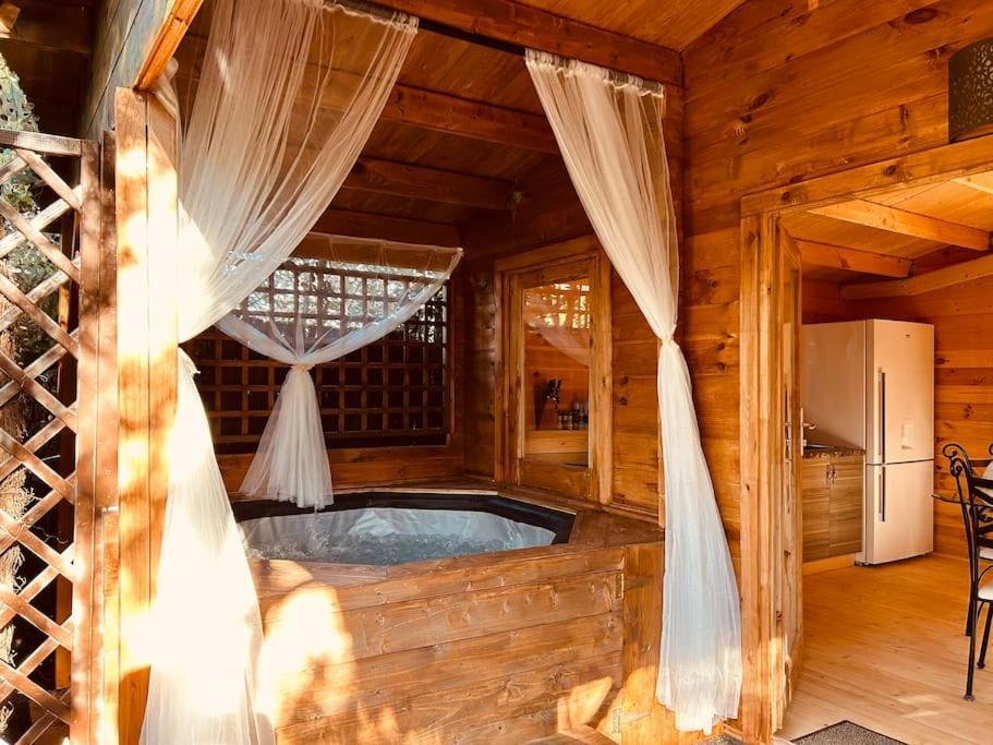 Chalet Bois Jacuzzi Bessan Exteriör bild