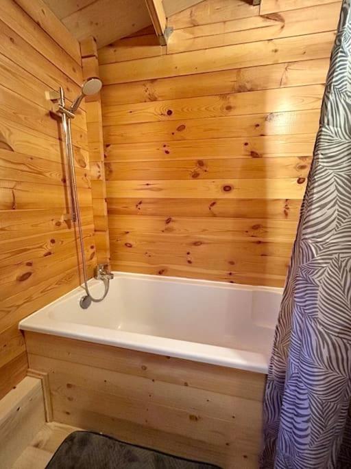 Chalet Bois Jacuzzi Bessan Exteriör bild